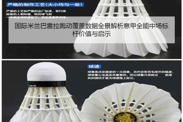 国际米兰巴雷拉跑动覆盖数据全景解析意甲全能中场标杆价值与启示